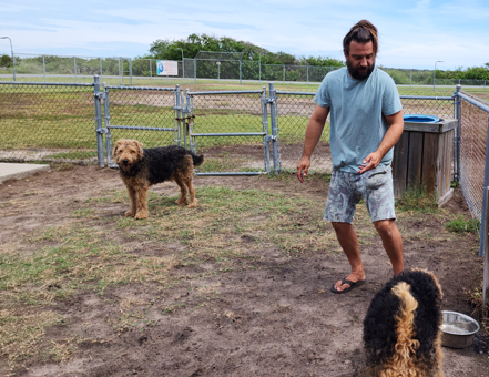 Dog Park at Vilano Beach